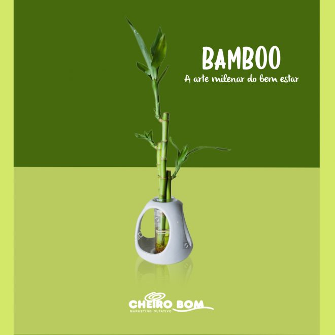 Fragrancias para Marketing Olfativo Cheiro Bom Bamboo