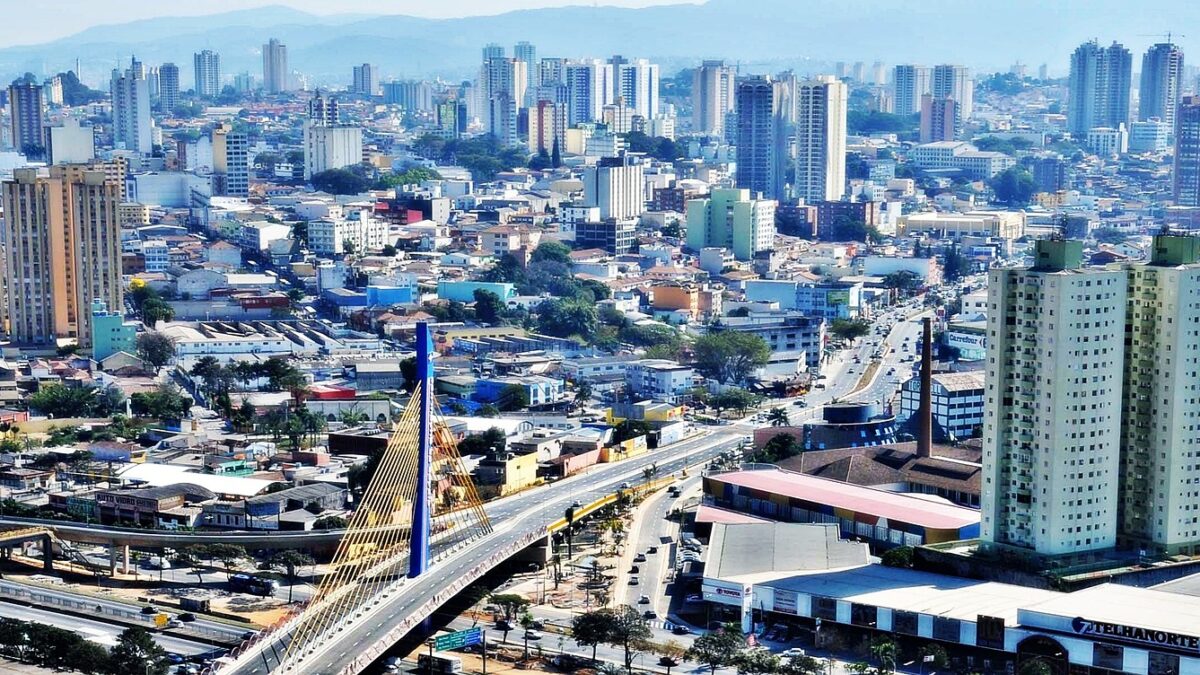Importância para o PIB de São Paulo e sua Contribuição Econômica