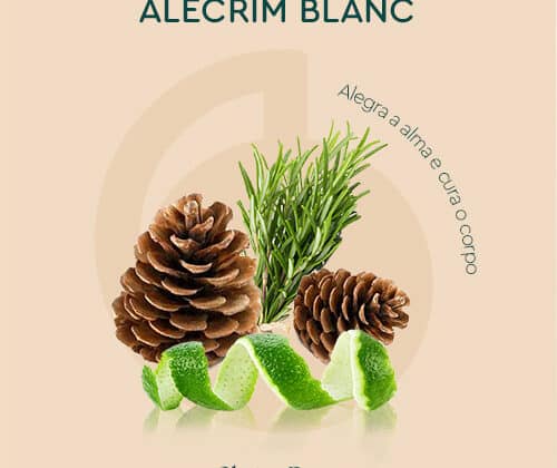 Fragrância Alecrim Blanc – Uma Ode ao Frescor e Sofisticação
